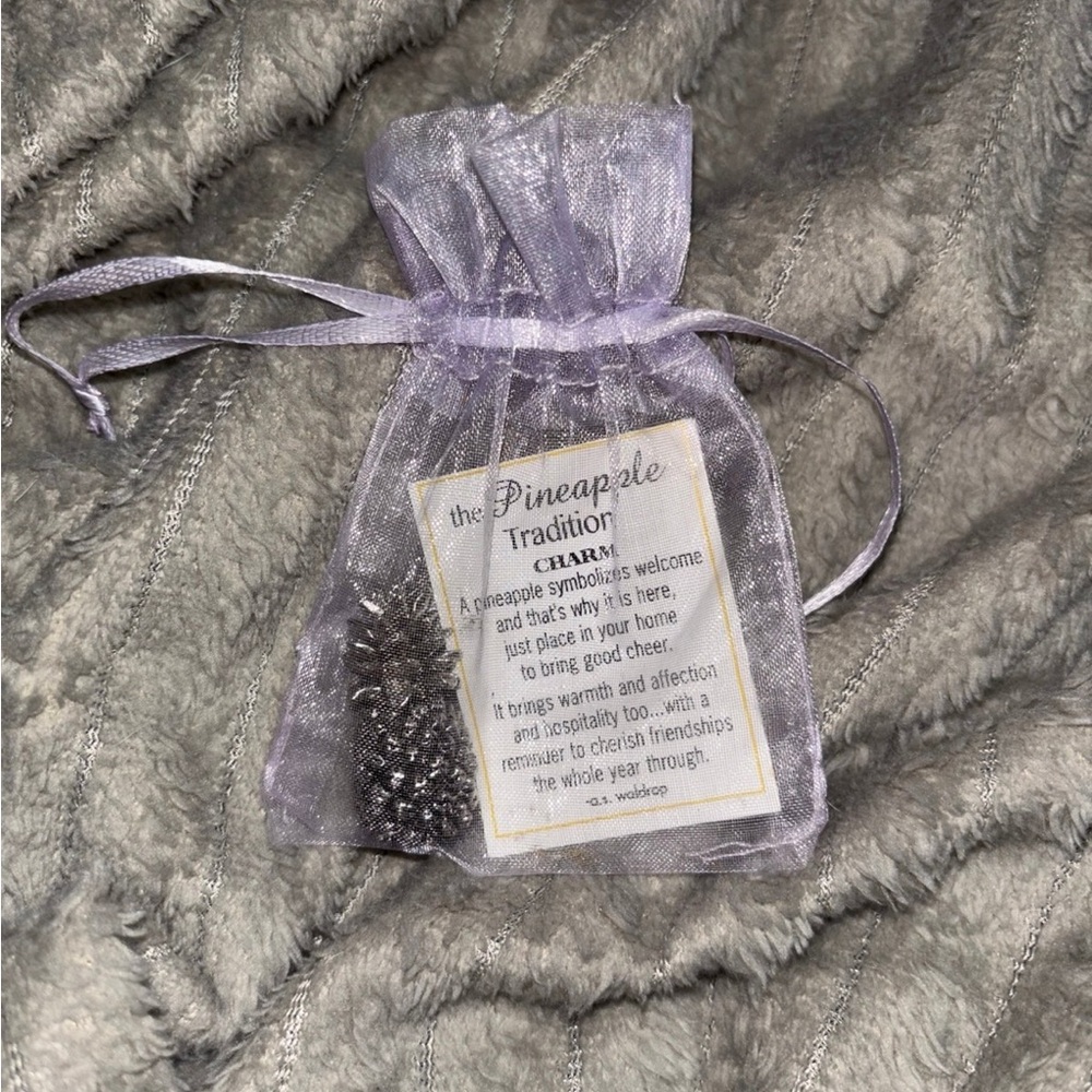 GANZ Silver Charm in Sheer Purple Bag